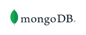 Mongo DB